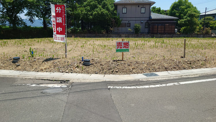 ڤ줤ϡNo3 