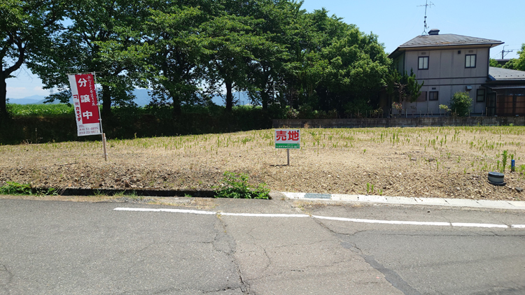 ڤ줤ϡNo4 