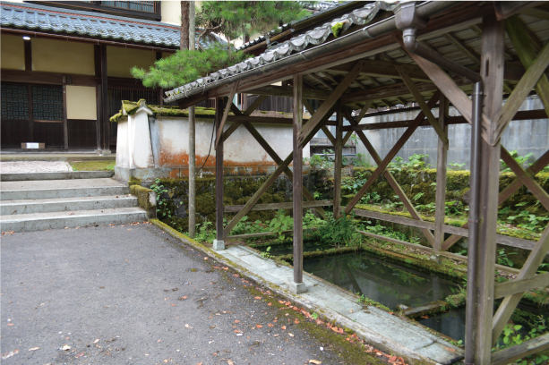 Âç²È²¤ËºÇŬ¡ªÁíÛØÂ¤½»Âð¡ÚÃç²ð¡¦»³ÉÕ¤¡Û